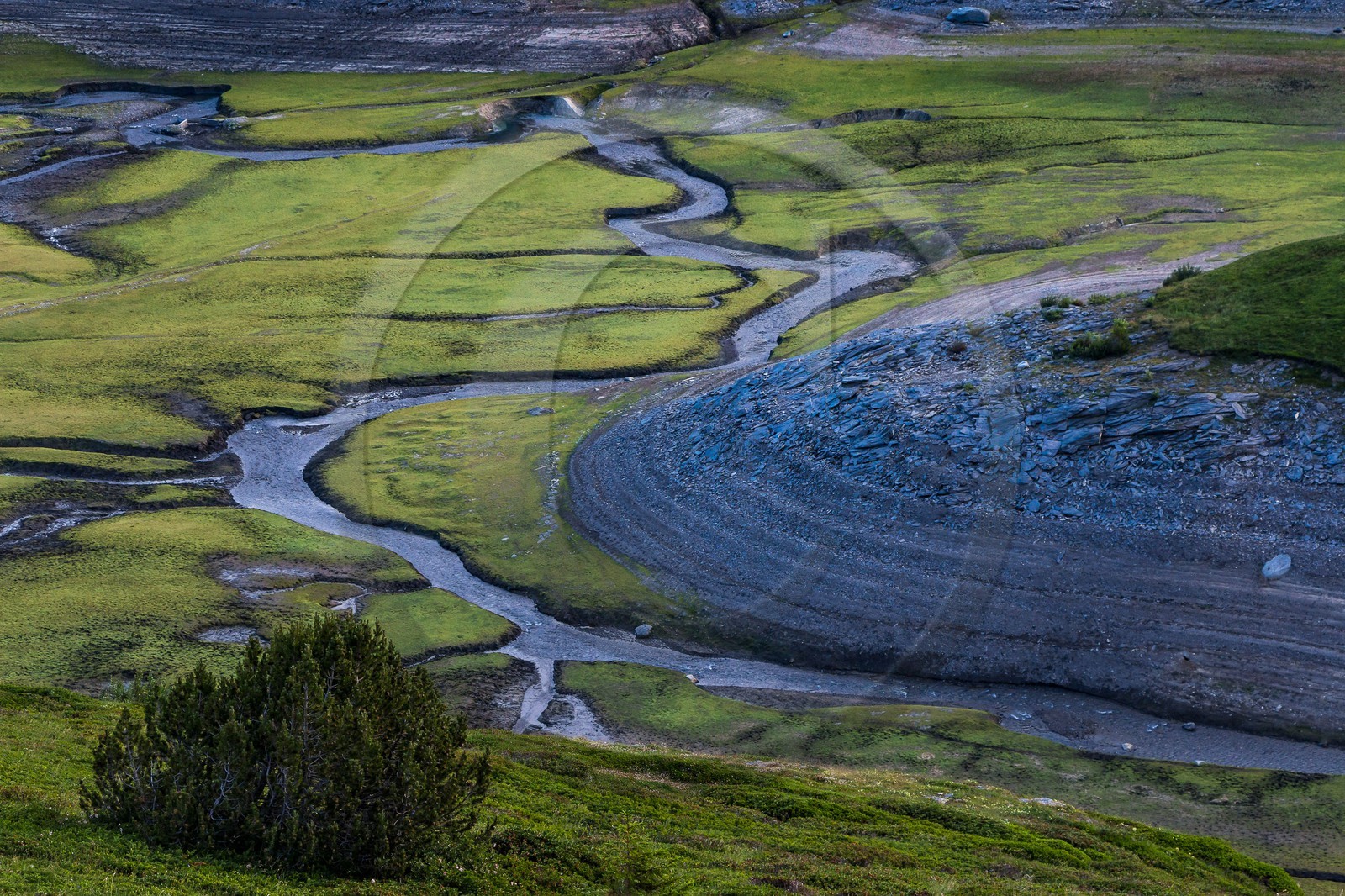 alpages du lac du Mont-Cenis alpages du lac du Mont-Cenis