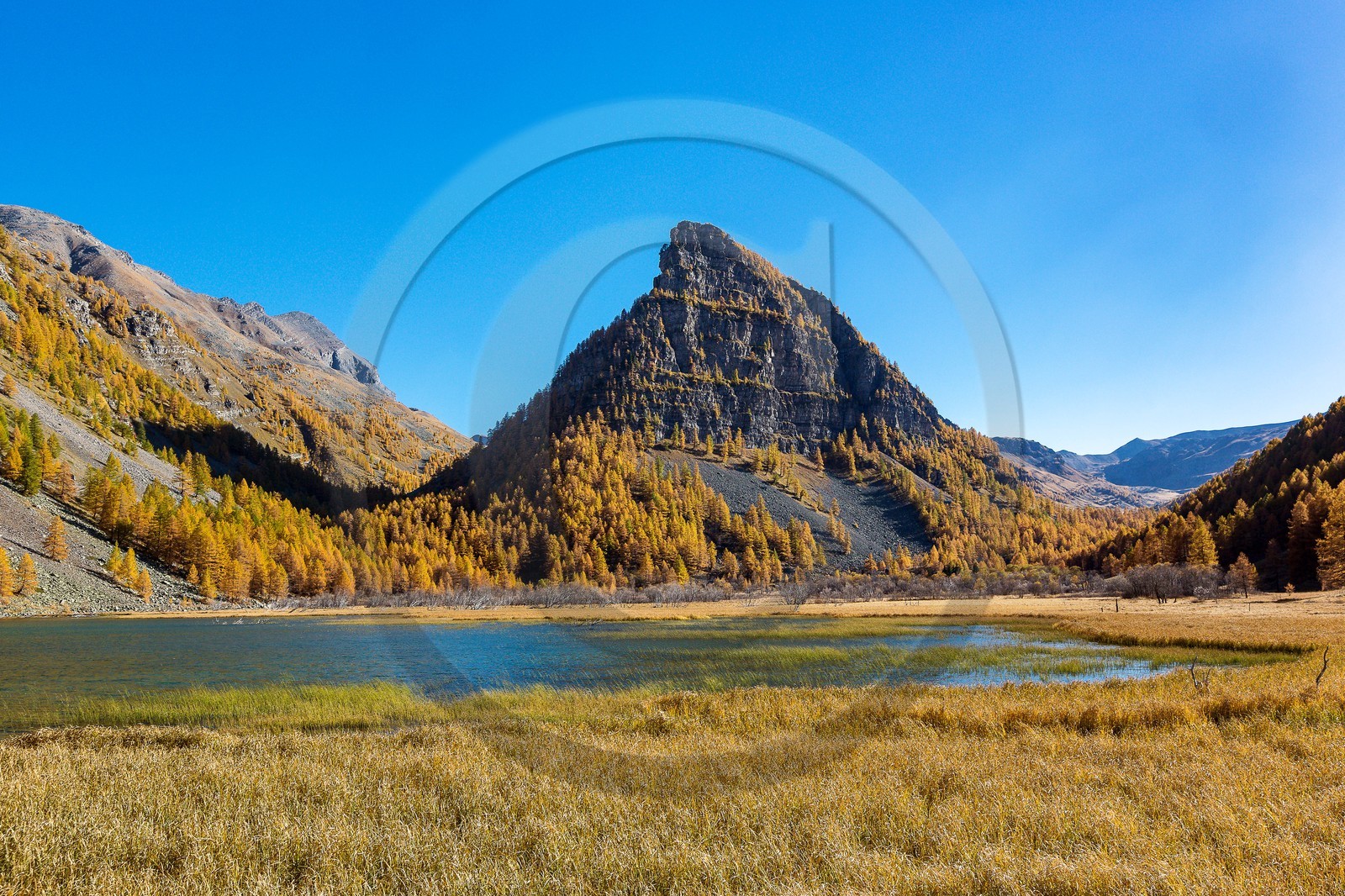 Jausiers, Lac des Sagnes et forêt de mélèzes à l'automne Jausiers, Lac des Sagnes et forêt de mélèzes à l'automne