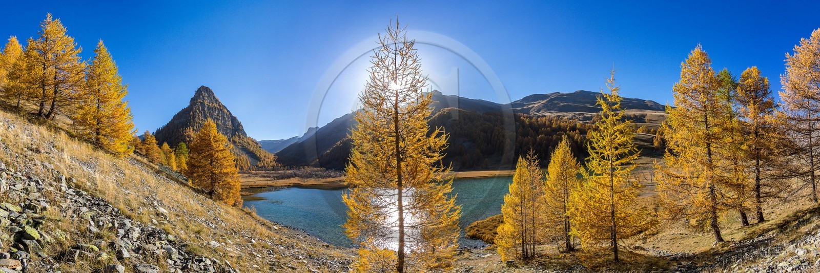 Jausiers, Lac des Sagnes et forêt de mélèzes à l'automne Jausiers, Lac des Sagnes et forêt de mélèzes à l'automne