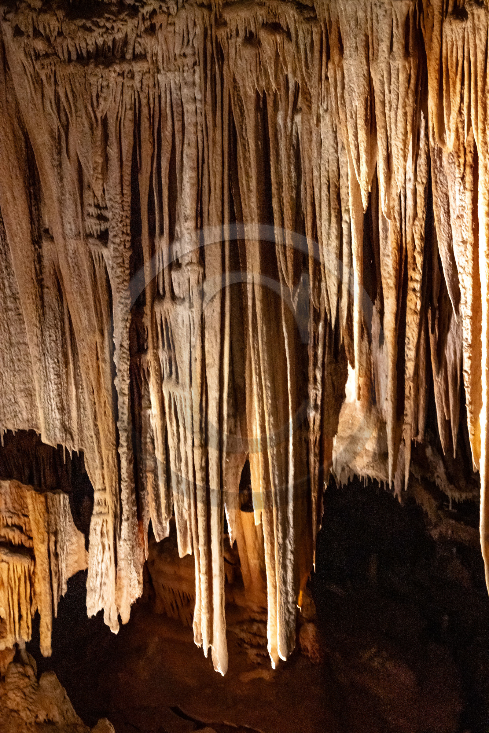 Grotte de Dargilan