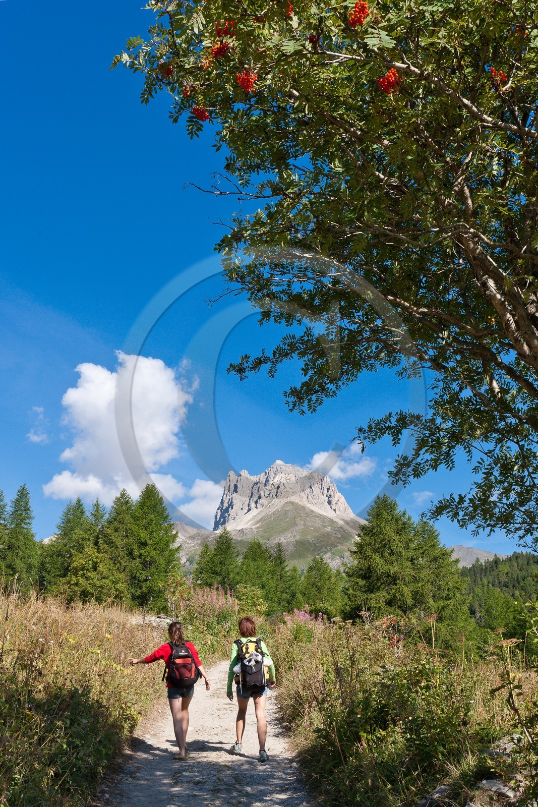 Randonnée montagne dans la vallée Etroite