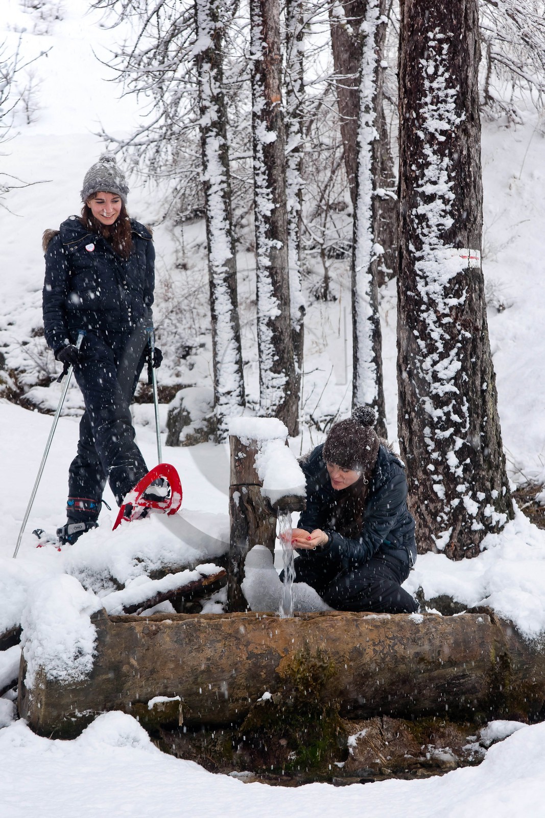 Randonnée, balade en raquettes à neige