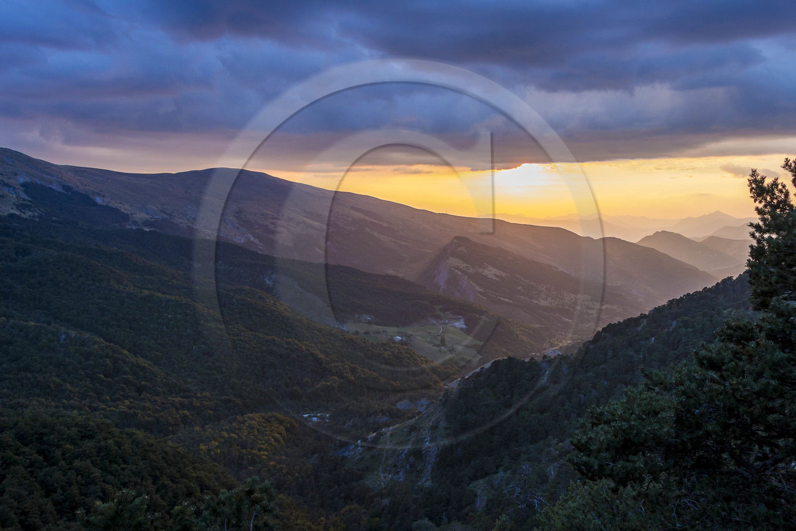 Les Monges, vallon de Reynier