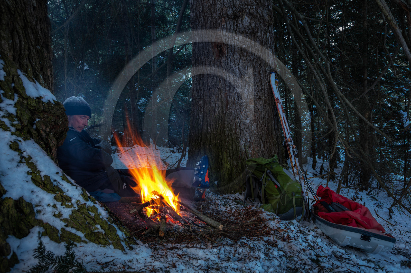 Film : La vallée des loups Film : La vallée des loups