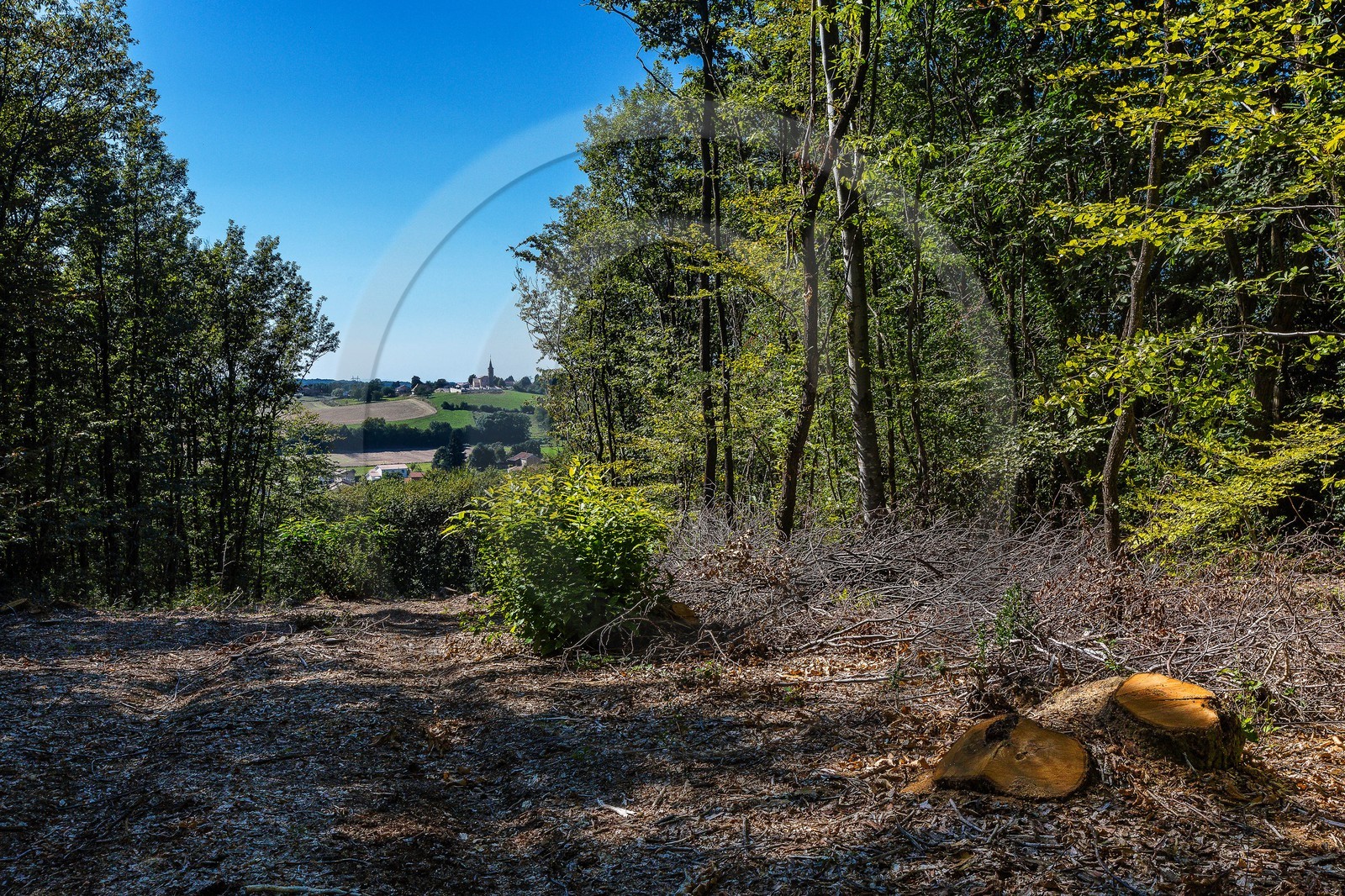 ENS de l'Isère, Etang des Béroudières ENS de l'Isère, Etang des Béroudières