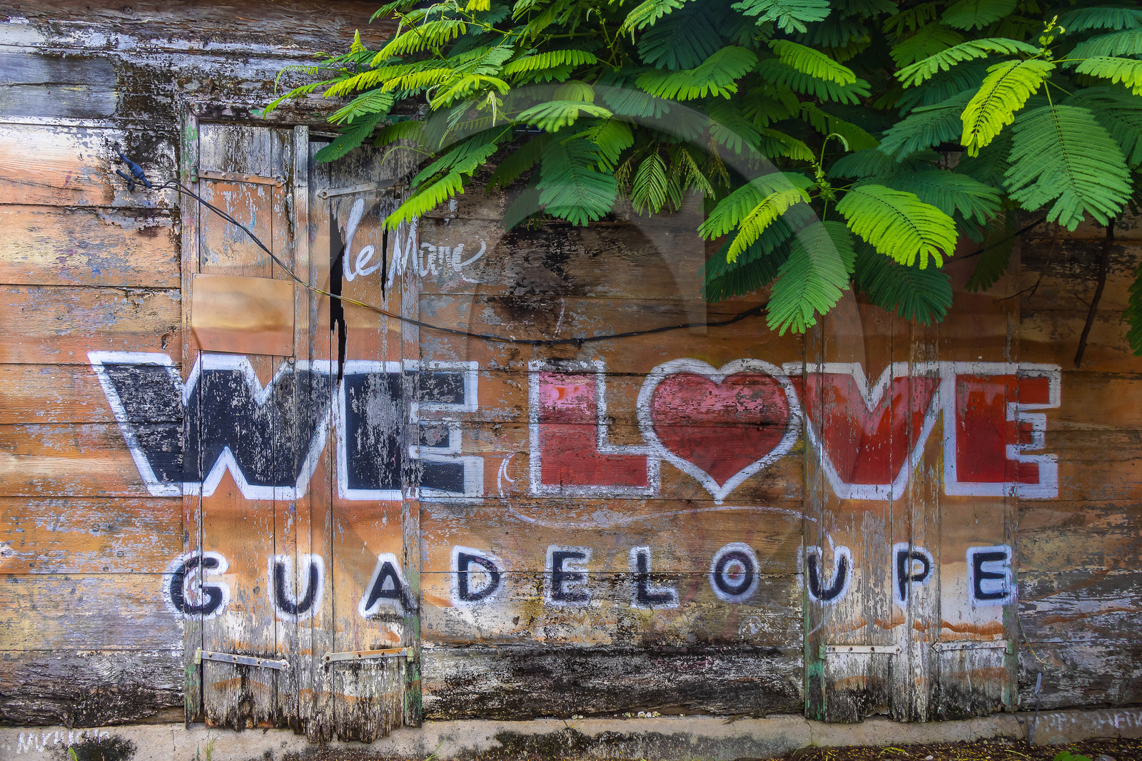 Guadeloupe, Le Moule, plage de L'Autre Bord Guadeloupe, Le Moule, plage de L'Autre Bord