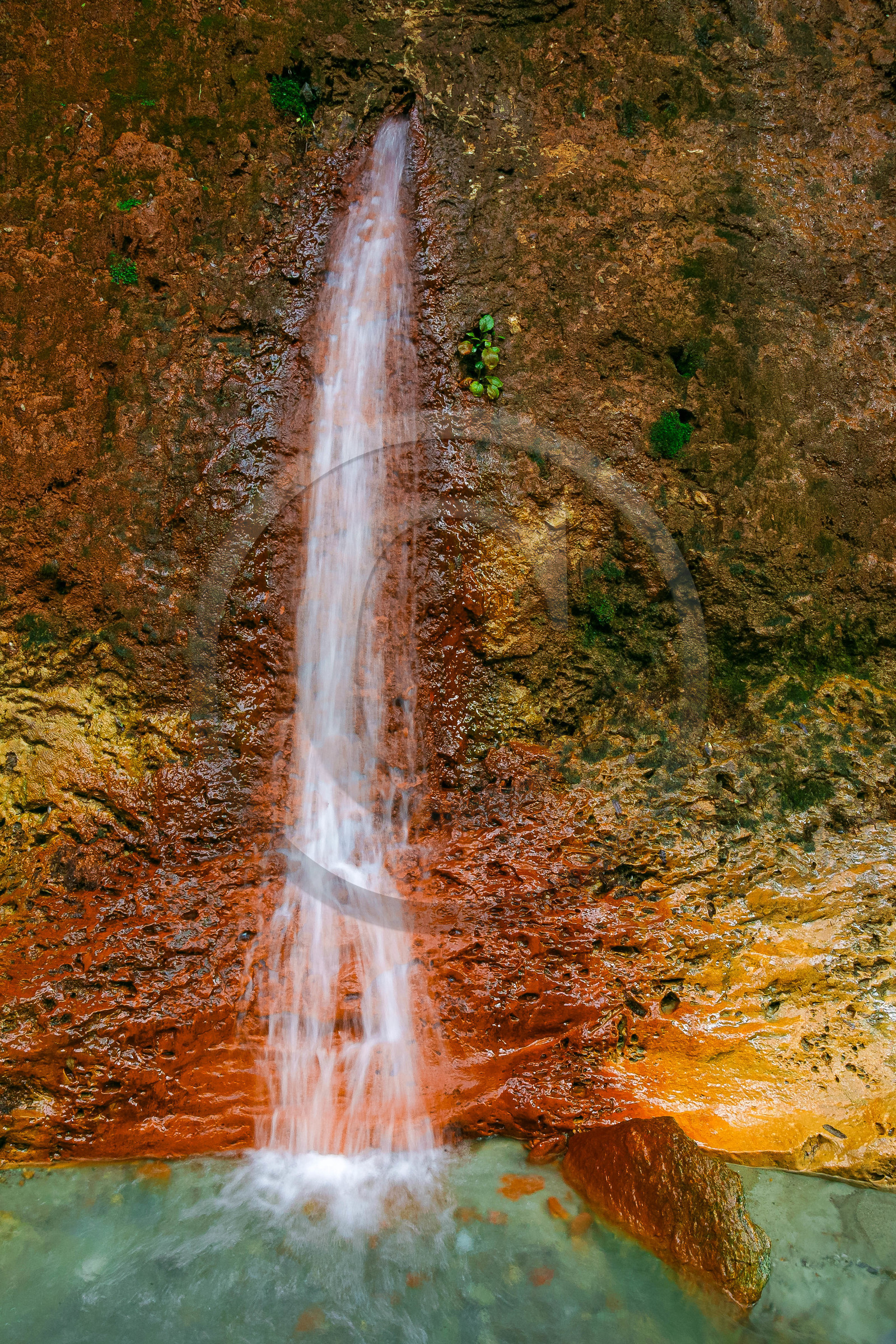 Réserve naturelle des Contamines-Montjoie, source ferrugineuse dans le torrent de Tré-la-Tête