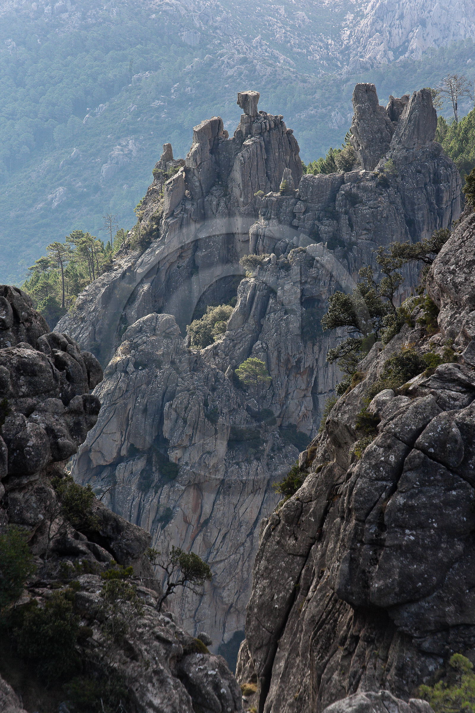 Les Aiguilles de Bavella (forchi di Bavedda ) Les Aiguilles de Bavella (forchi di Bavedda )