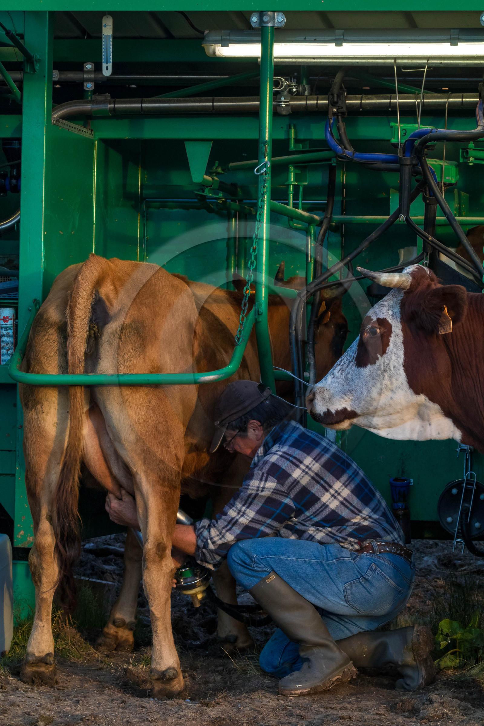 Alpage de l'Arpettaz