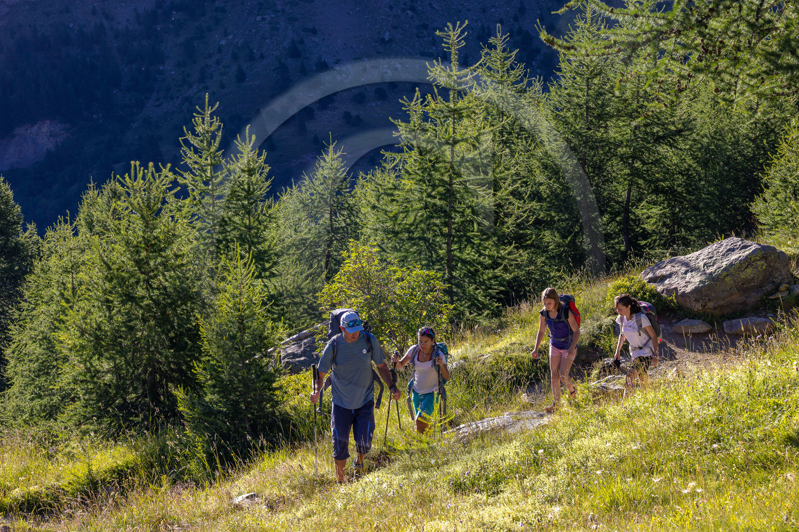 Vallée de Freissinières Vallée de Freissinières