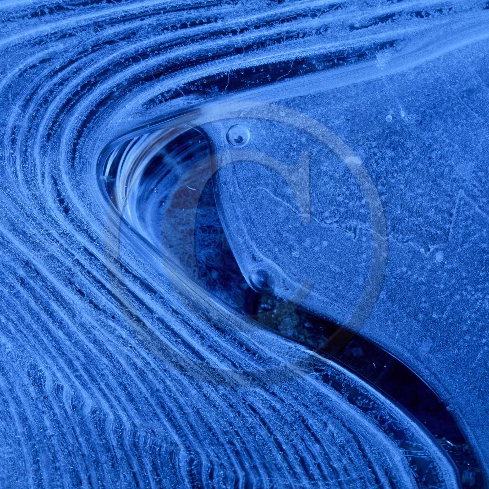 Délices de gel