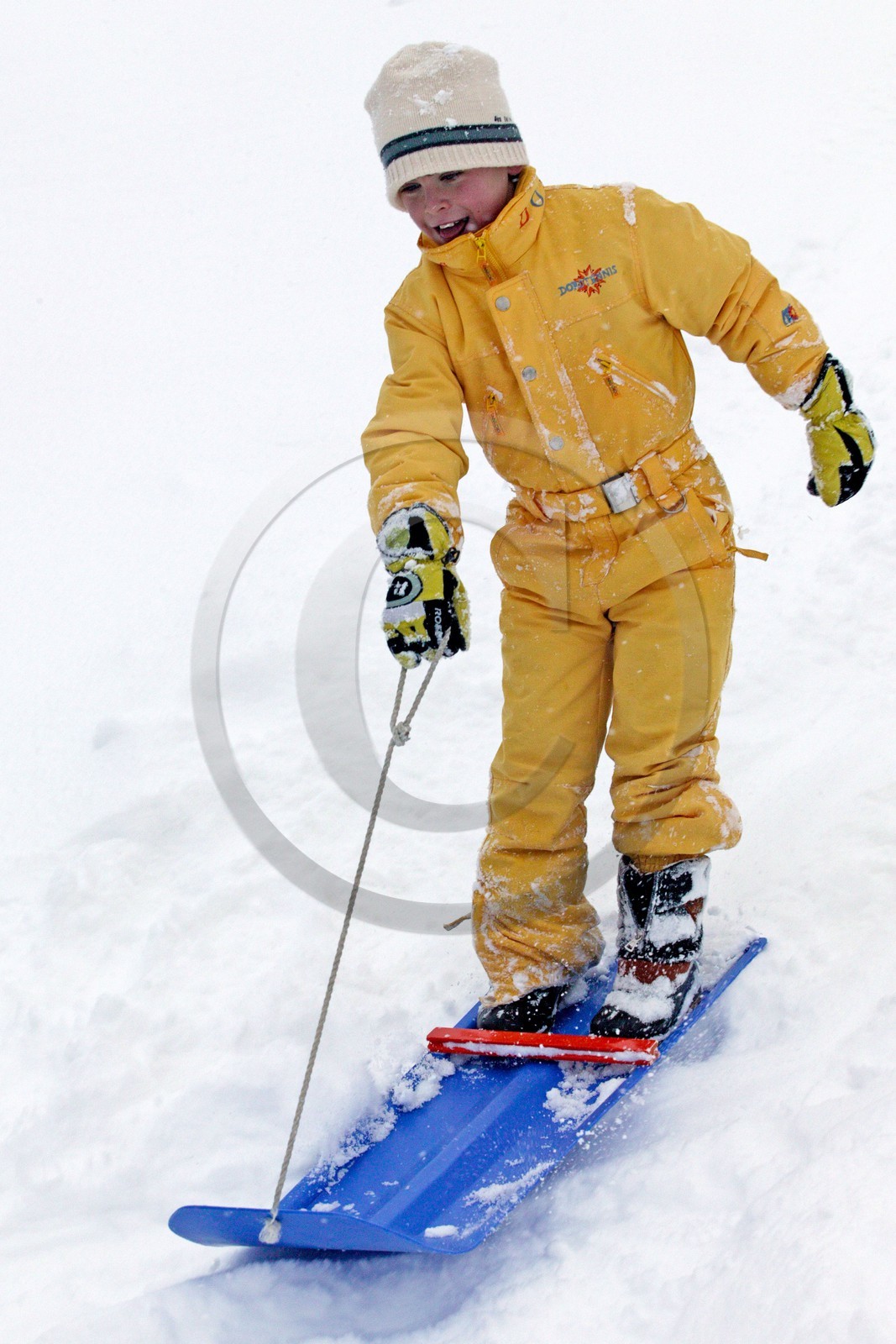 Luge d'hiver
