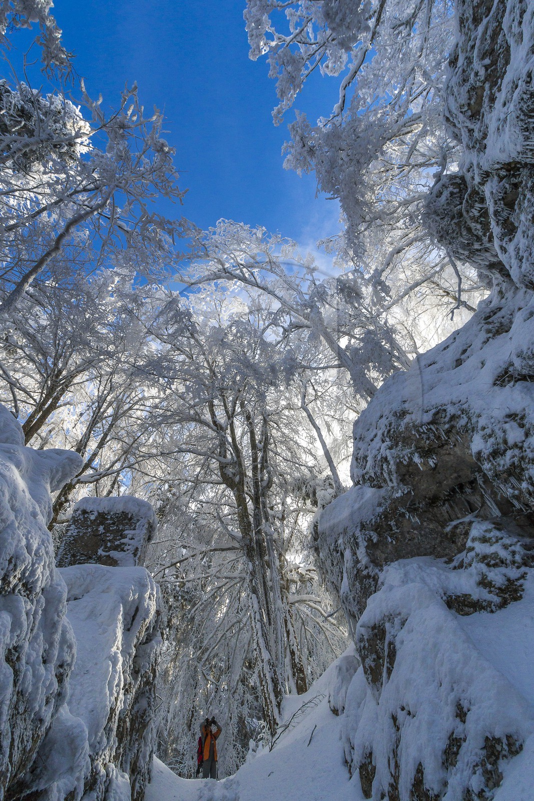 ENS de l'Isère, Les Ecouges ENS de l'Isère, Les Ecouges