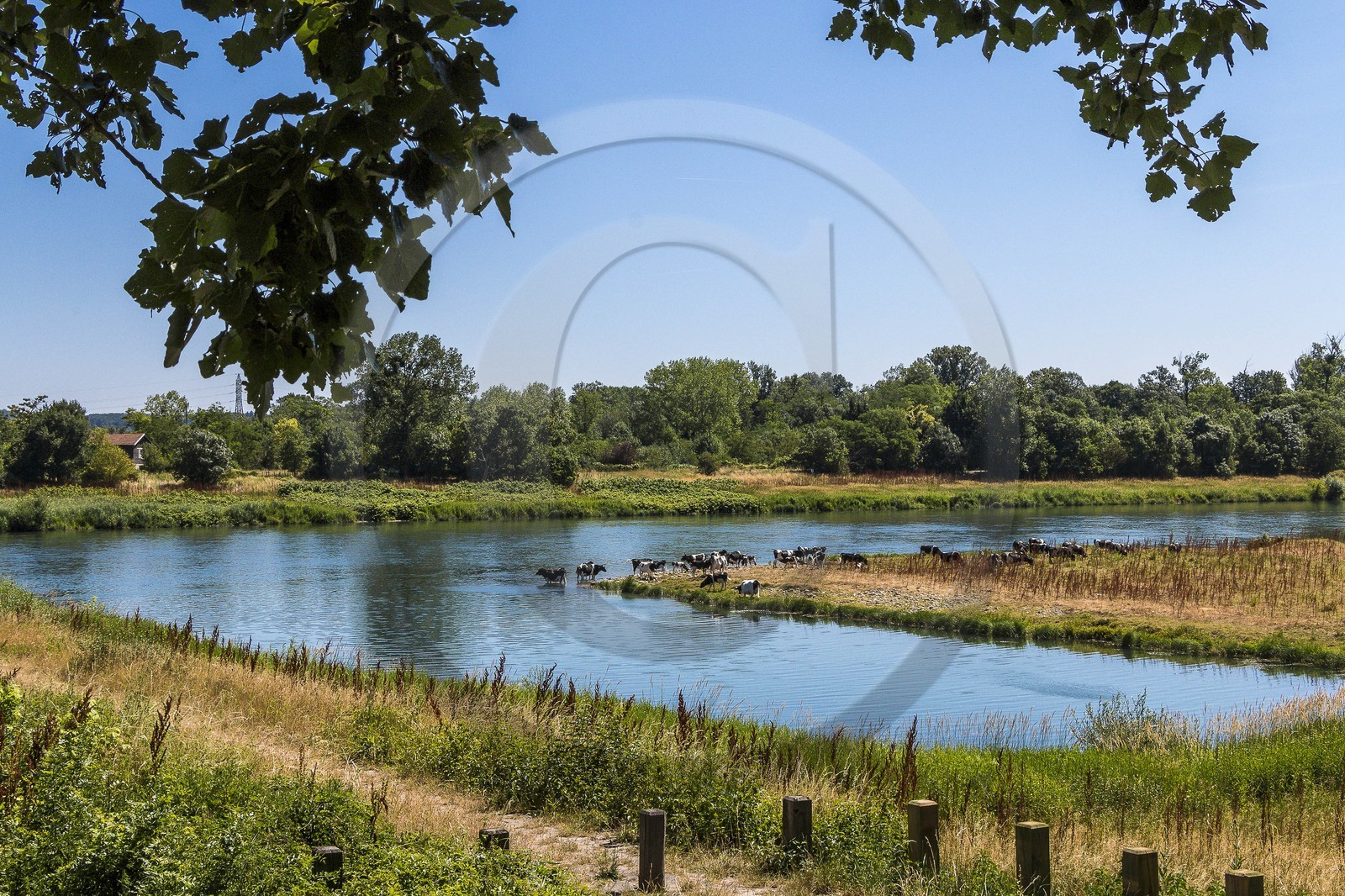 ENS de l'Isère, , le méandre des Oves ENS de l'Isère, , le méandre des Oves
