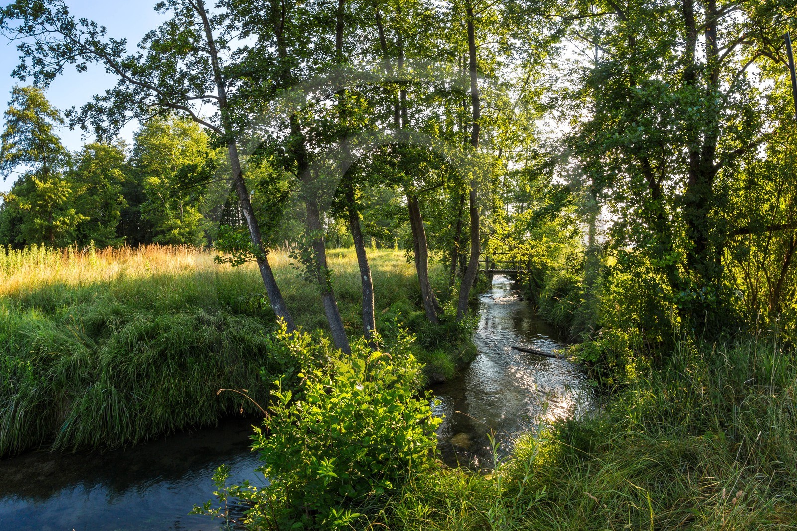 ENS de l'Isère, Prairies inondables de Pont-Évêque ENS de l'Isère, Prairies inondables de Pont-Évêque