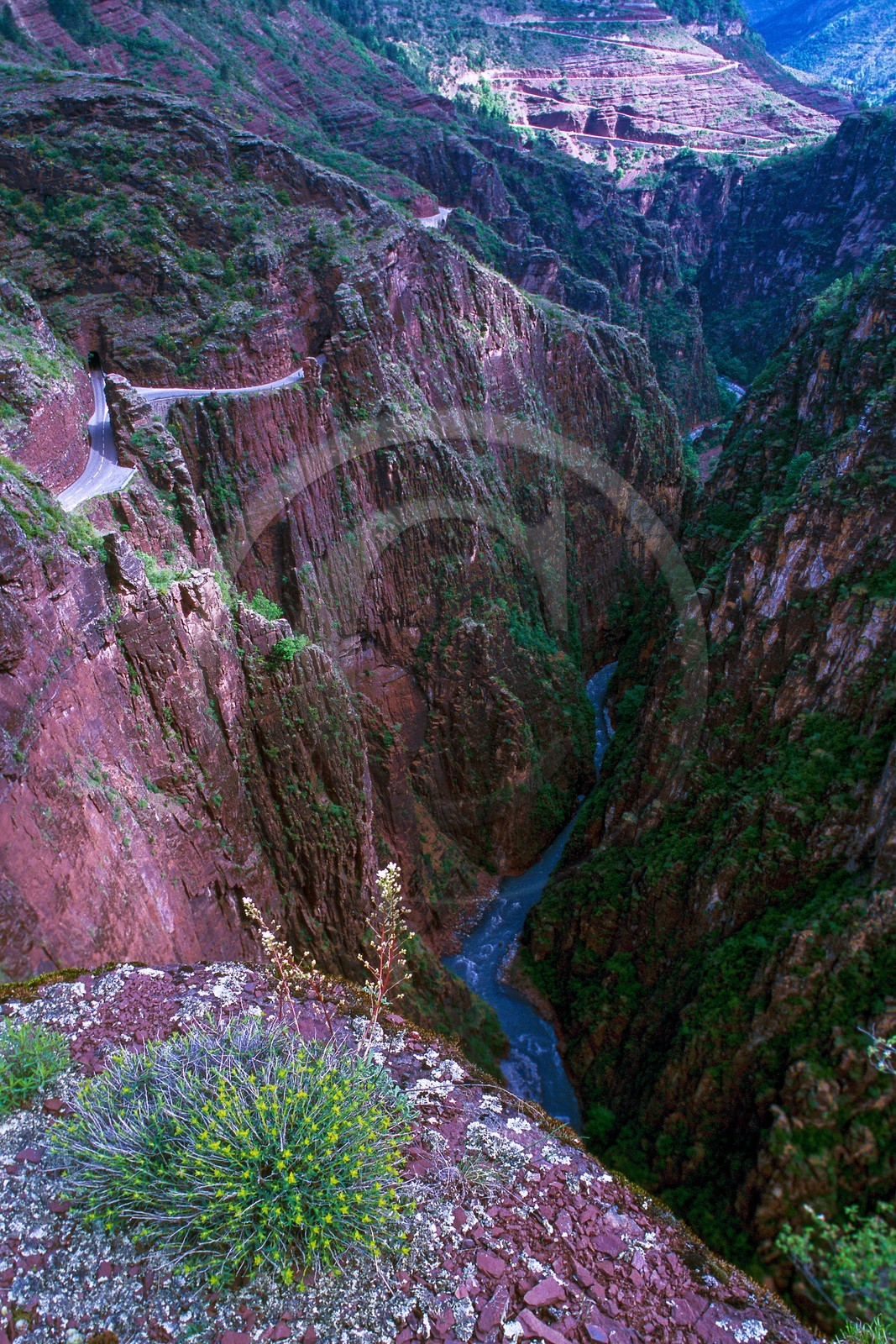 Gorges de Daluis