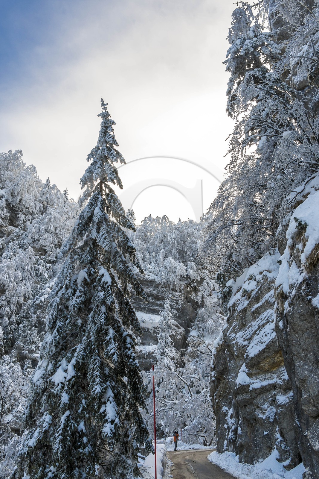 ENS de l'Isère, Les Ecouges