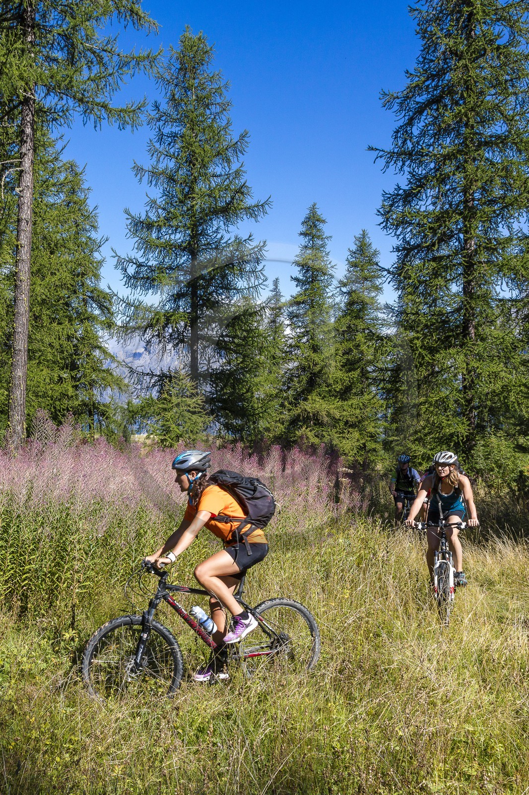 VTT Grand tour des Ecrins VTT Grand tour des Ecrins