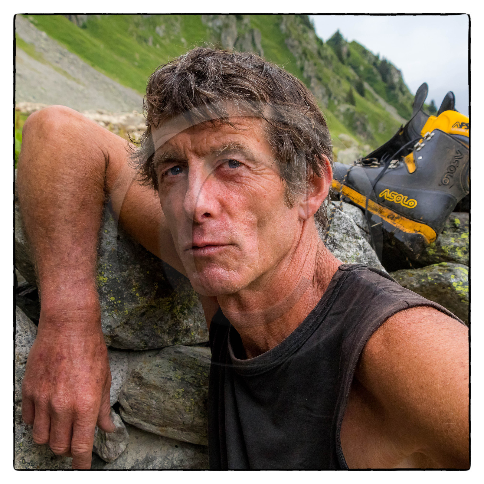 Alpage de la combe des Plans