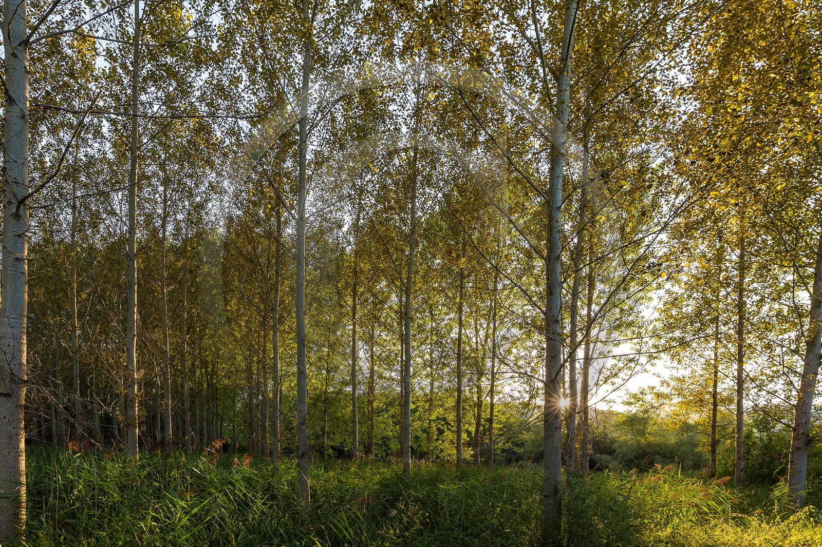 ENS de l'Isère, Boucle des Moïles ENS de l'Isère, Boucle des Moïles