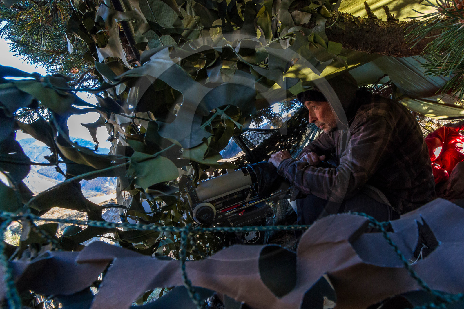 Film : La vallée des loups