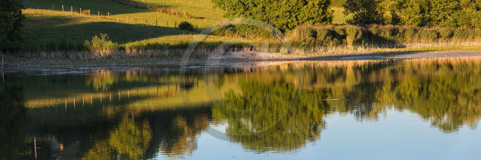 ENS de l'Isère, étang de Montjoux ENS de l'Isère, étang de Montjoux