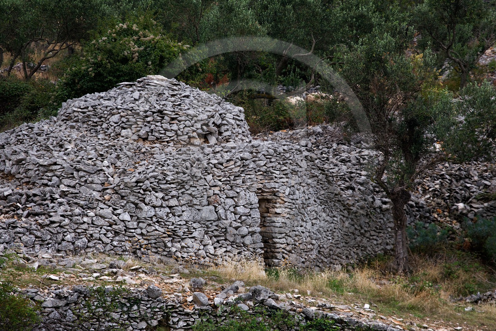 Bunja de Brac