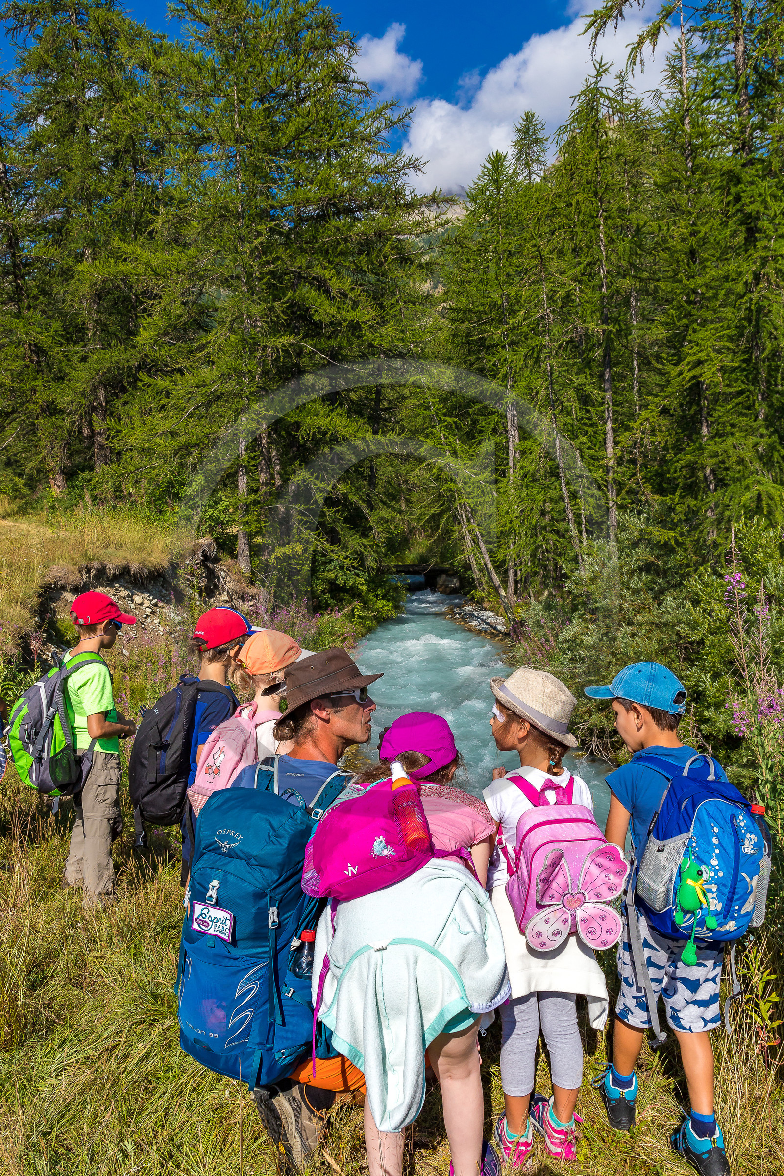 Curieux de nature, sortie découverte avec Cyril Mahout