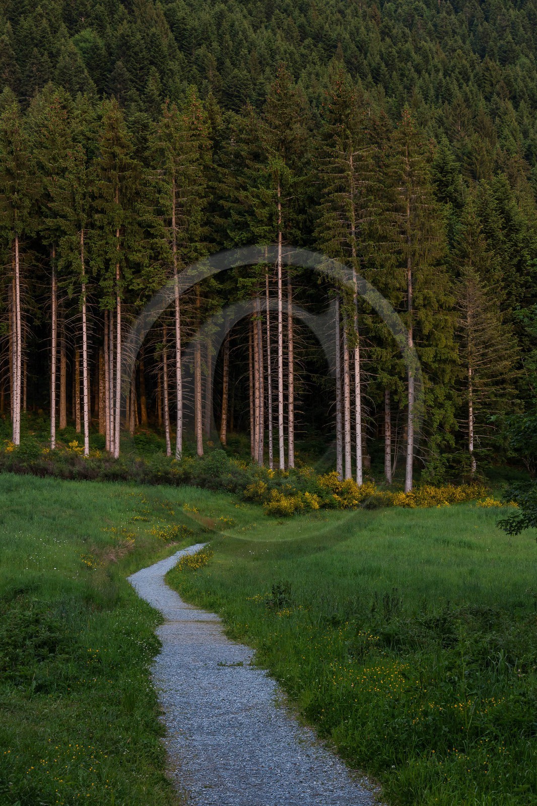 ENS de l'Isère, Marais des Seiglières