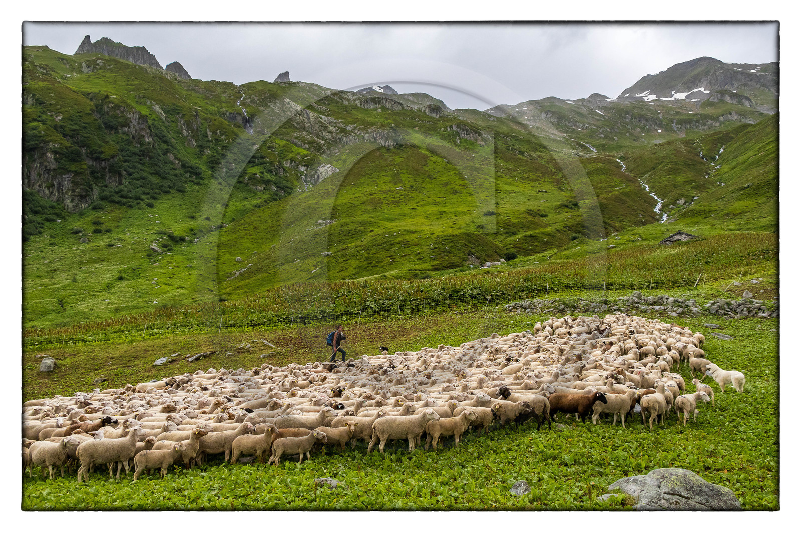 Alpage de la combe des Plans