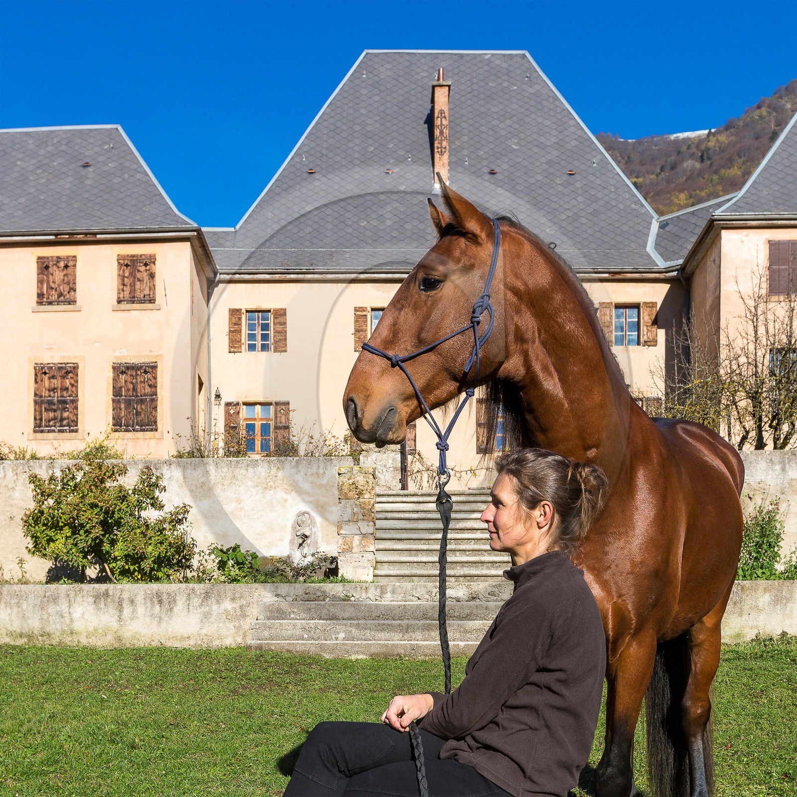 Valbonnais; Chateau Galvin, Haras du Don, Yelena Dovergne
