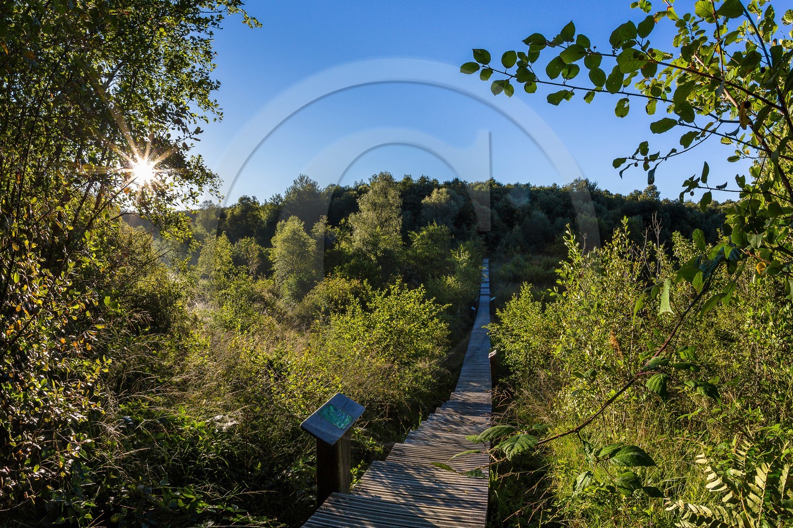 ENS de l'Isère, Tourbière des Planchettes ENS de l'Isère, Tourbière des Planchettes