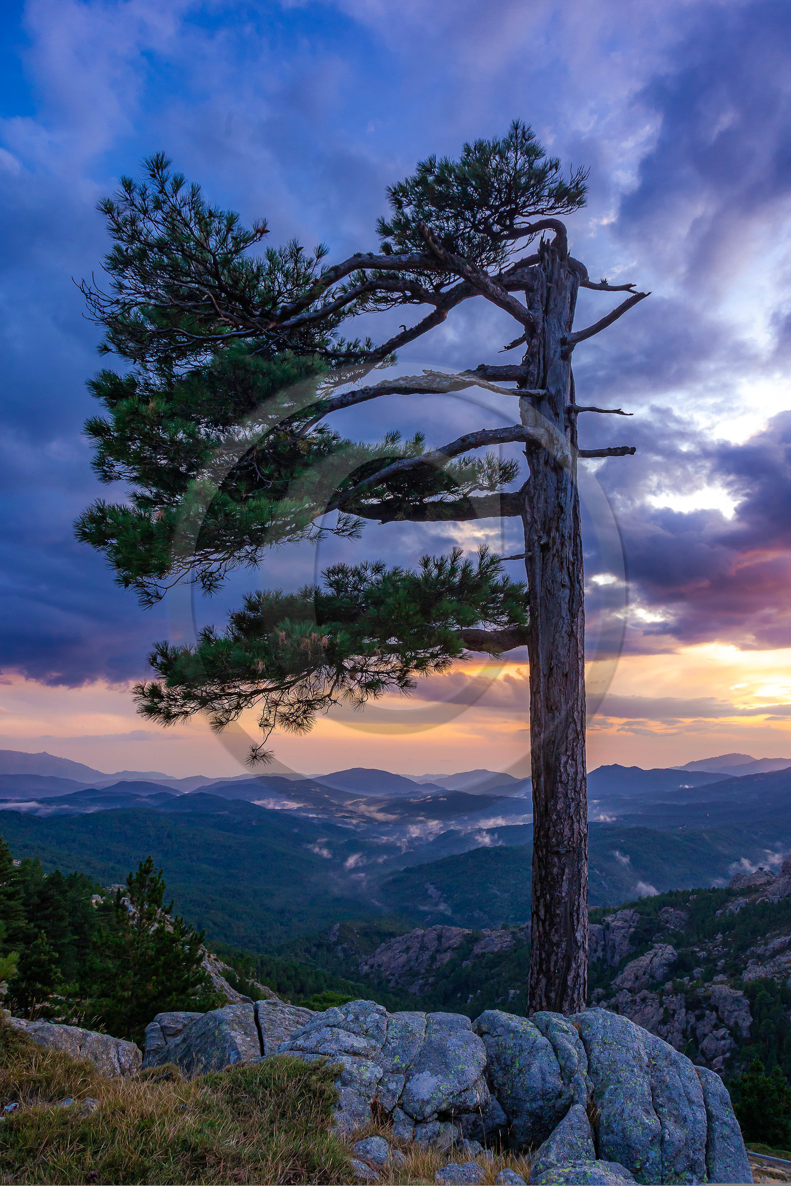 Les Aiguilles de Bavella (forchi di Bavedda ) Les Aiguilles de Bavella (forchi di Bavedda )