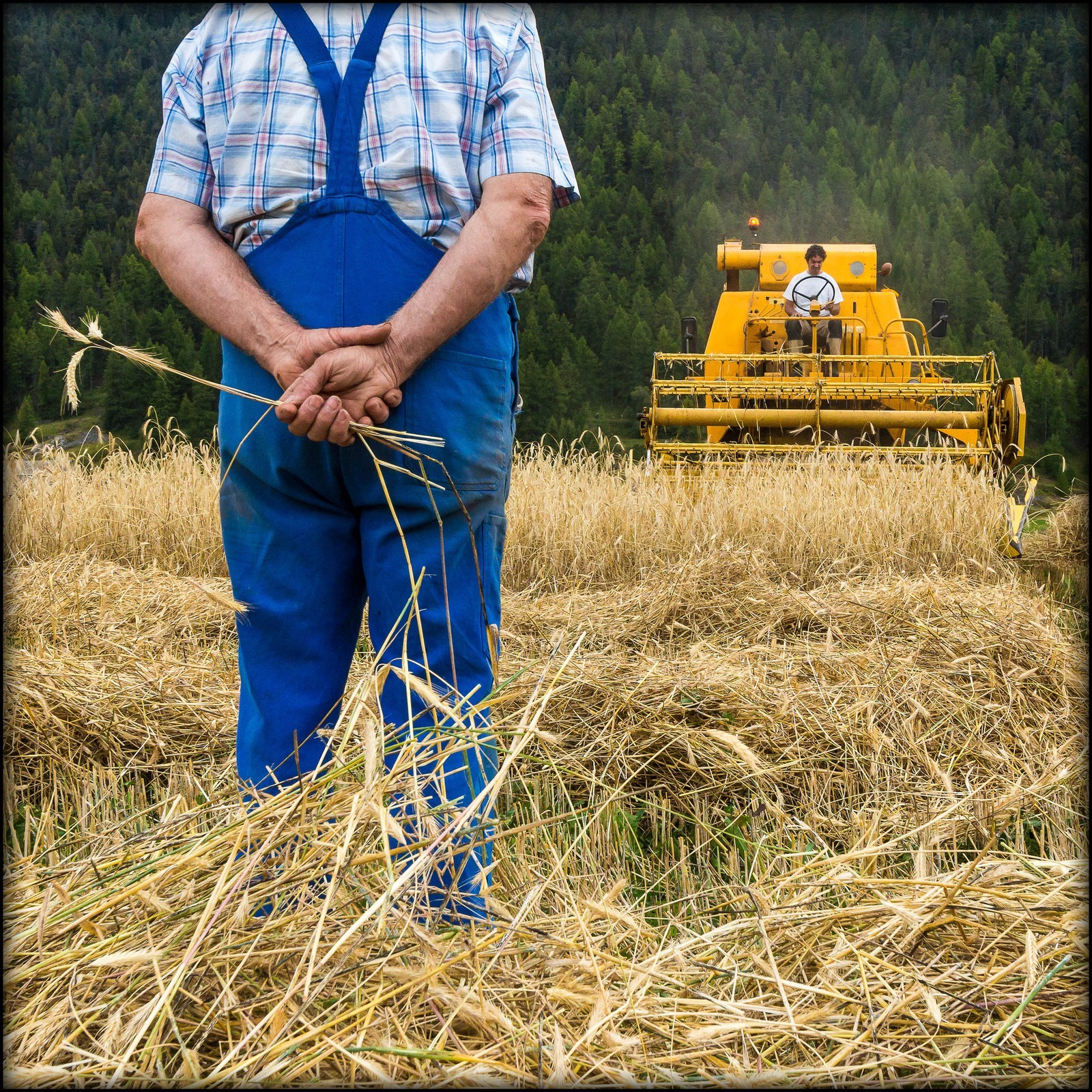 Ceillac, Christophe Gauthier, Exploitant agricole