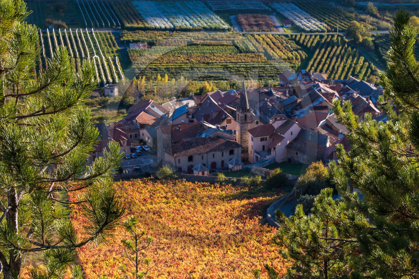 Remollon