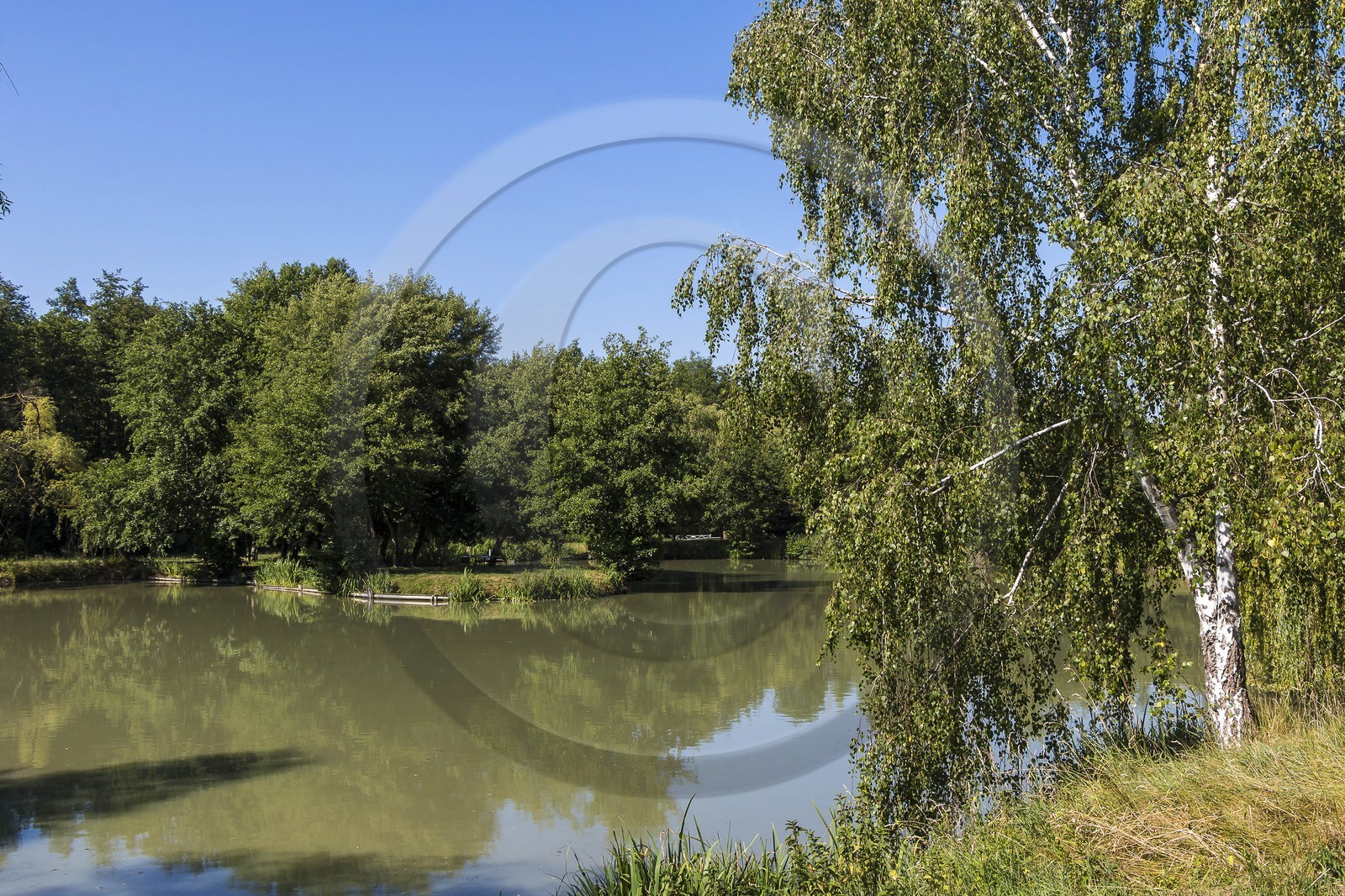 ENS de l'Isère, Prairies inondables de Pont-Évêque
