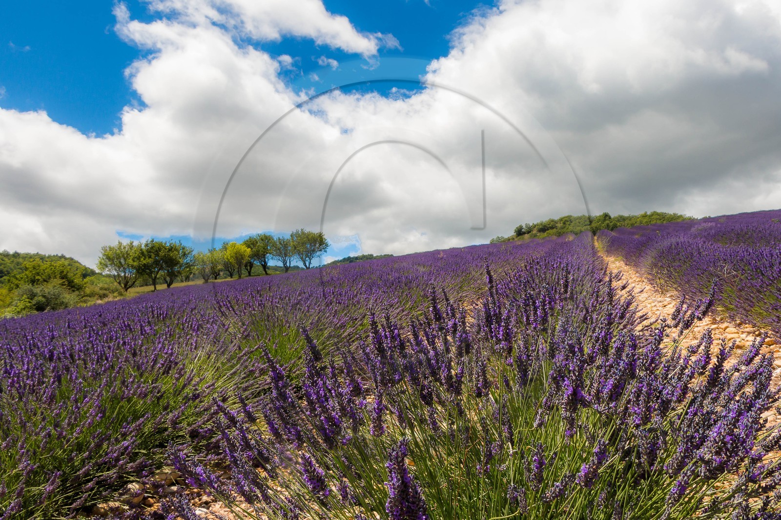 vallée des Duyes, Thoard vallée des Duyes, Thoard
