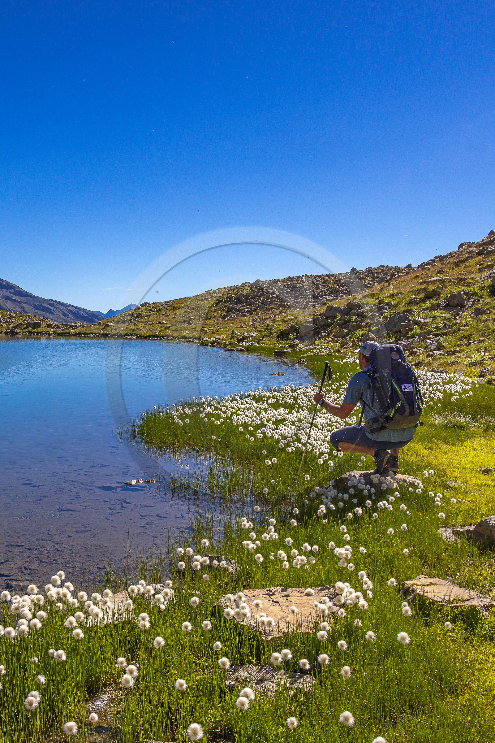 Lac Palluel Lac Palluel