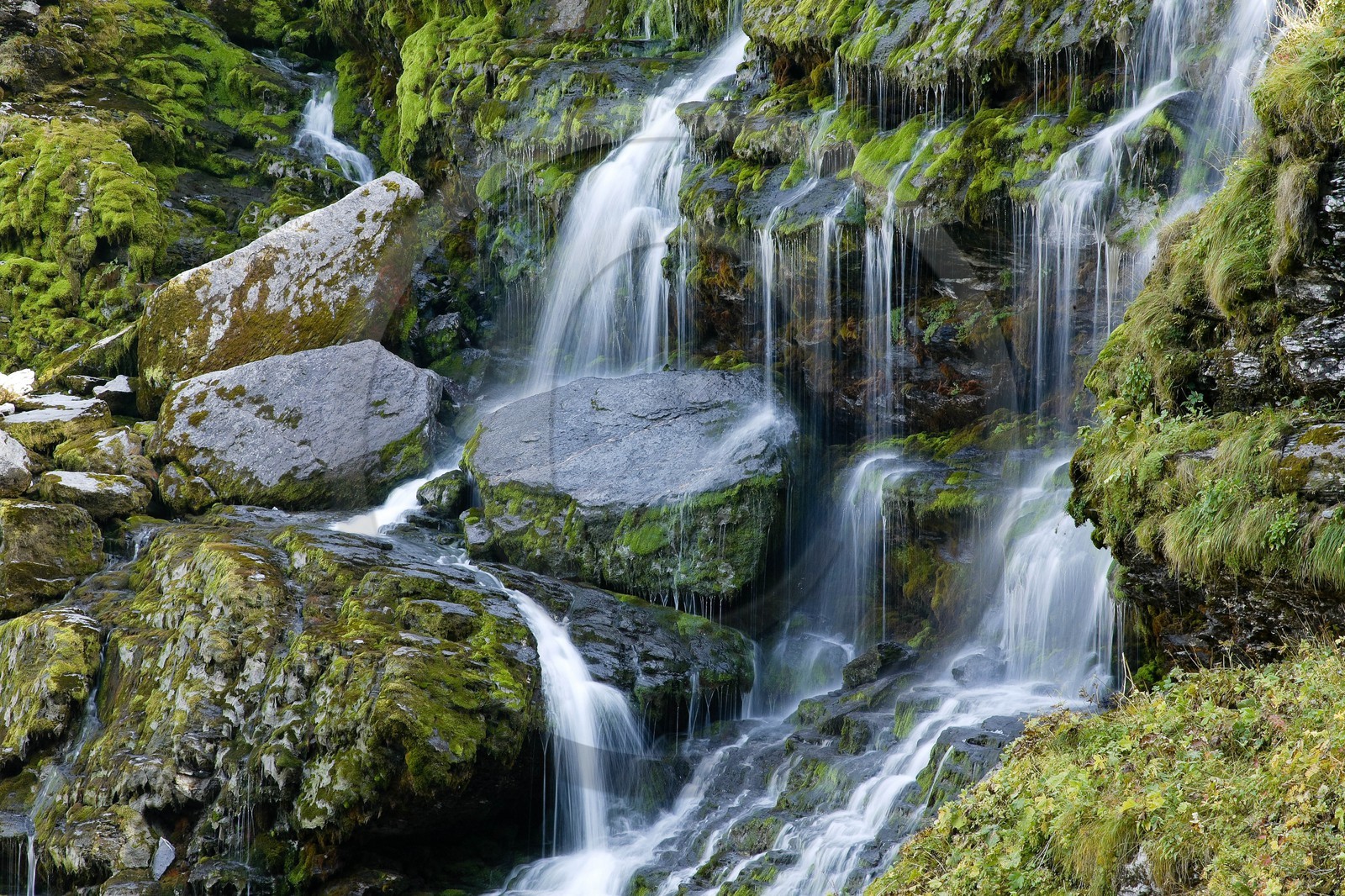 Réserve naturelle de Sixt-Passy, Cascades du Torrent de Salles