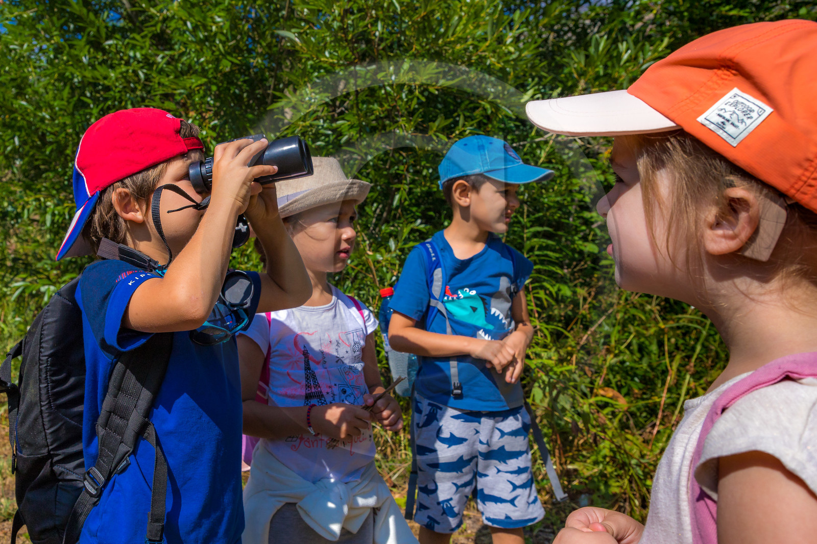Curieux de nature, sortie découverte avec Cyril Mahout