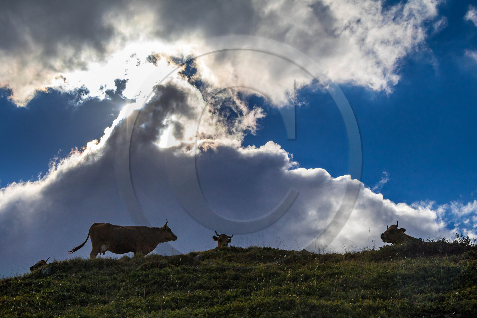 Alpage de l'Arpettaz