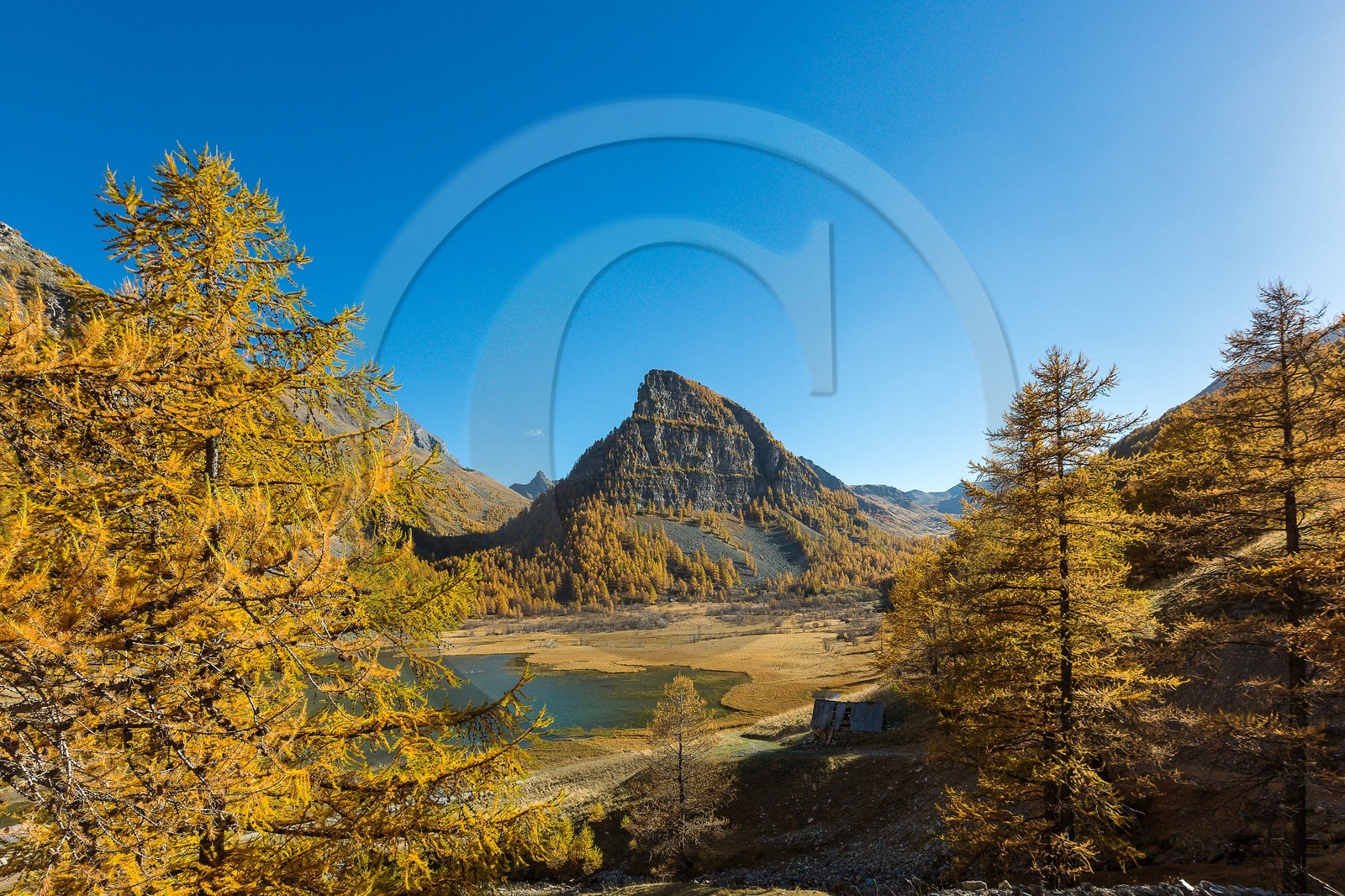 Jausiers, Lac des Sagnes et forêt de mélèzes à l'automne Jausiers, Lac des Sagnes et forêt de mélèzes à l'automne