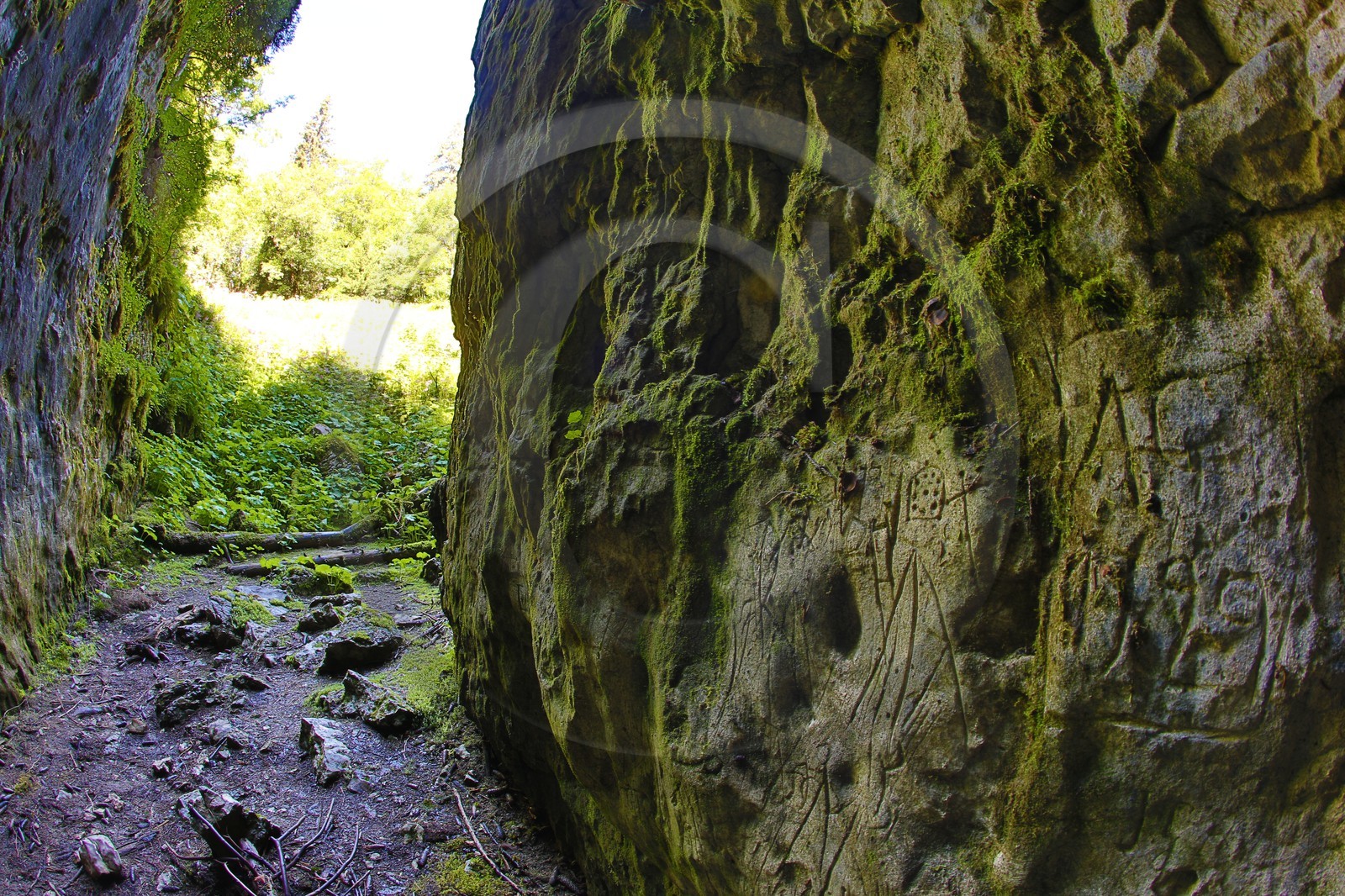 ENS de l'Isère, Plateau de la Molière et du Sornin, Le Puits aux Ecritures, gravures rupestres ENS de l'Isère, Plateau de la Molière et du Sornin, Le Puits aux Ecritures, gravures rupestres