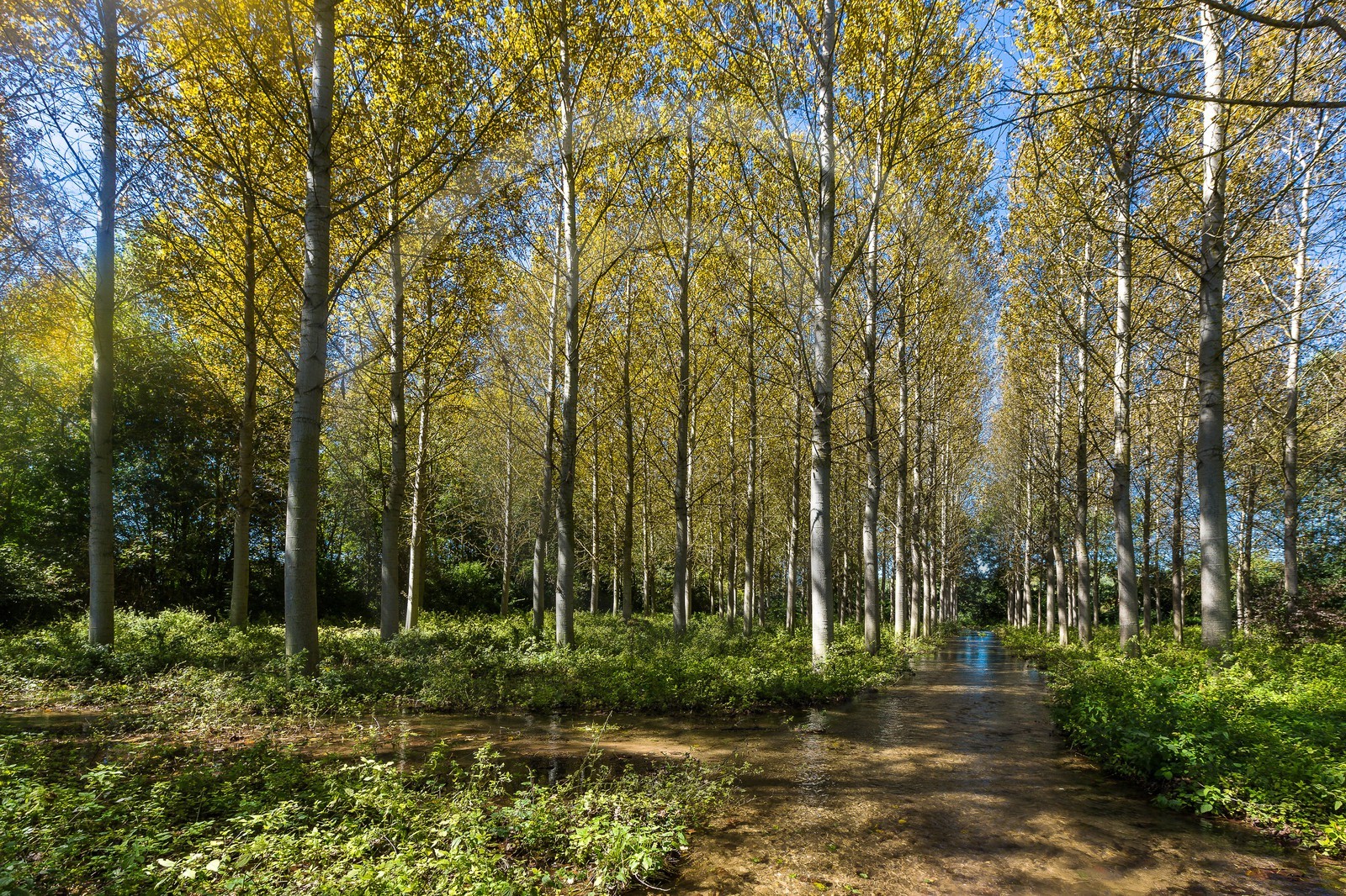 ENS de l'Isère, Les Fontaines de Beaufort ENS de l'Isère, Les Fontaines de Beaufort