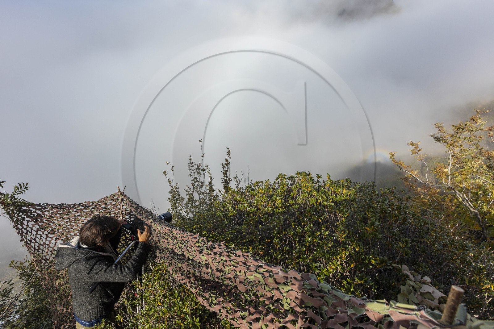 Making of du film La vallée des loups Making of du film La vallée des loups