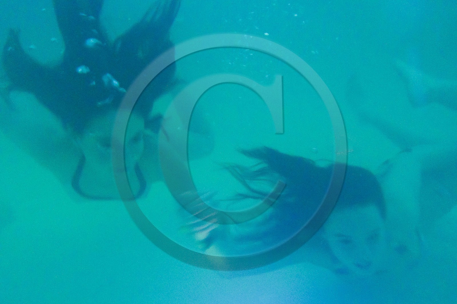 Les Grands Bains du Monêtier Les Grands Bains du Monêtier