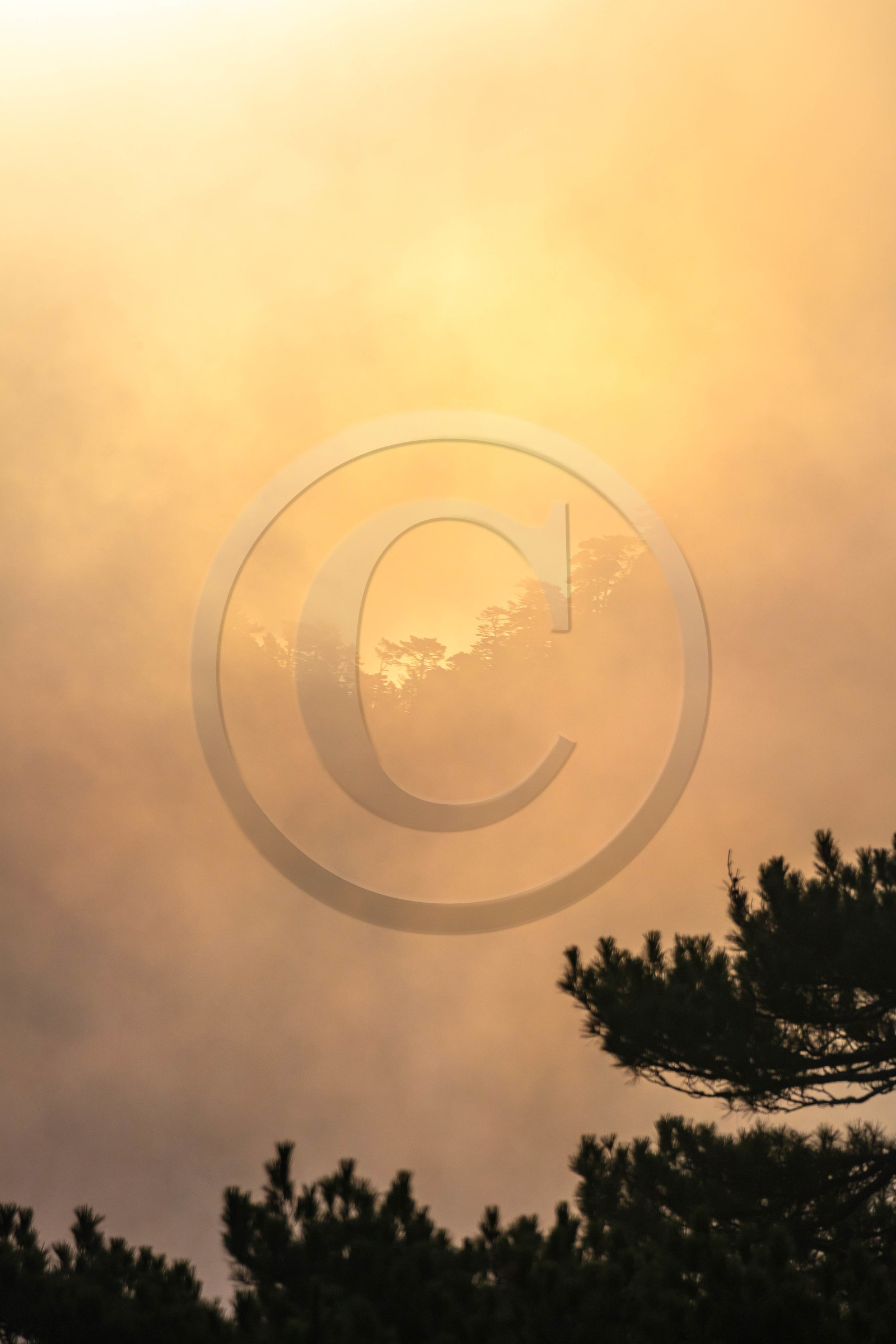 Les Aiguilles de Bavella (forchi di Bavedda ) Les Aiguilles de Bavella (forchi di Bavedda )