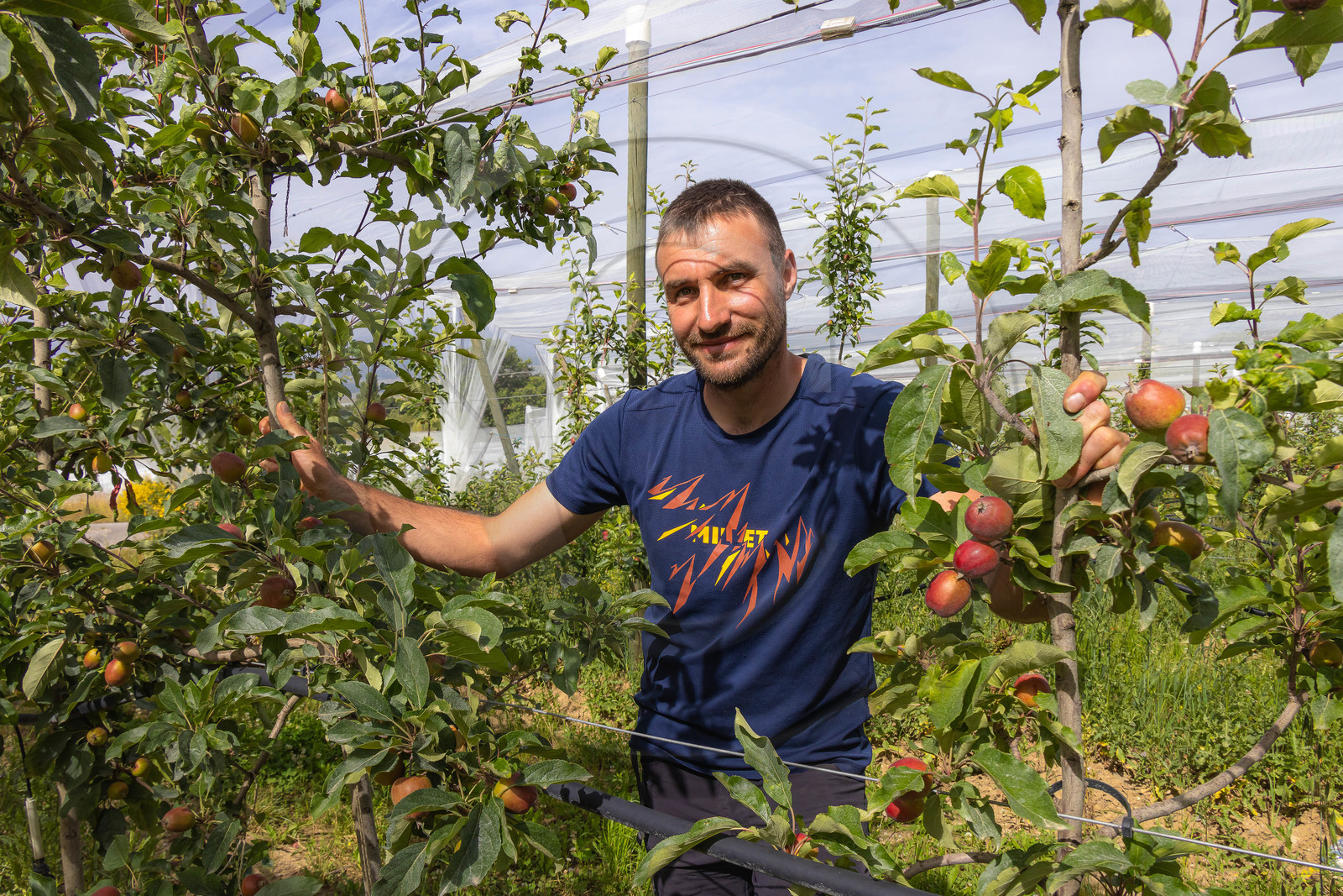 Melve, Gaec de la Maurelle, Adrien Megy Melve, Gaec de la Maurelle, Adrien Megy