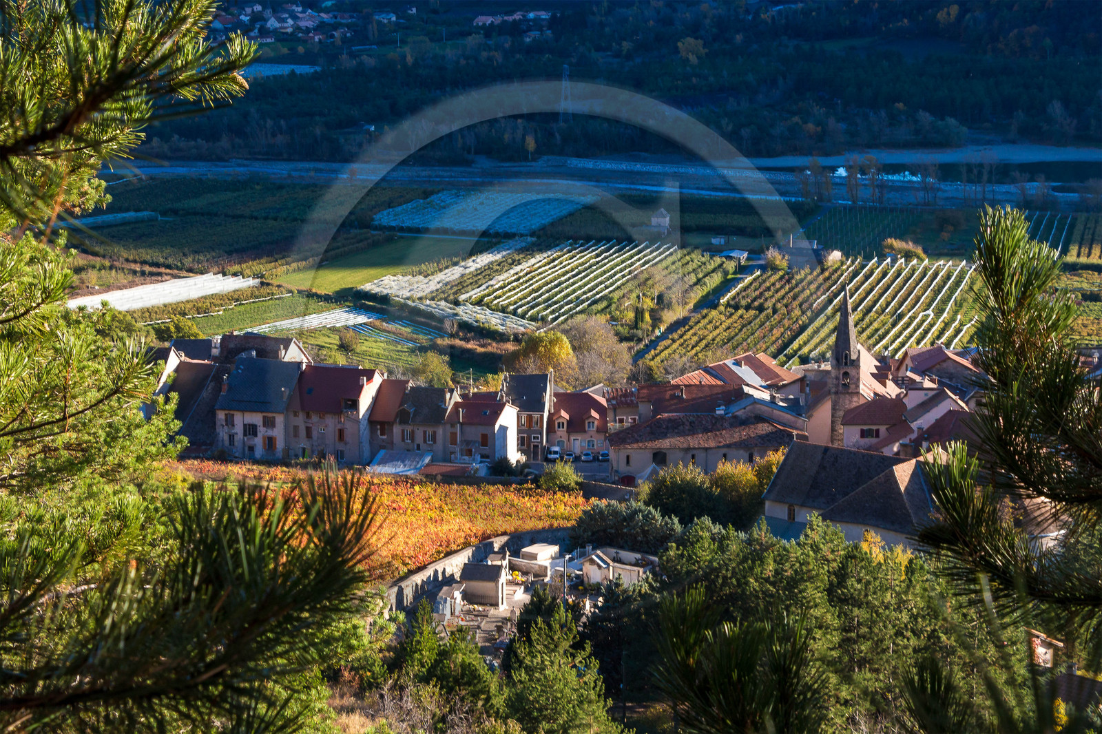 Remollon