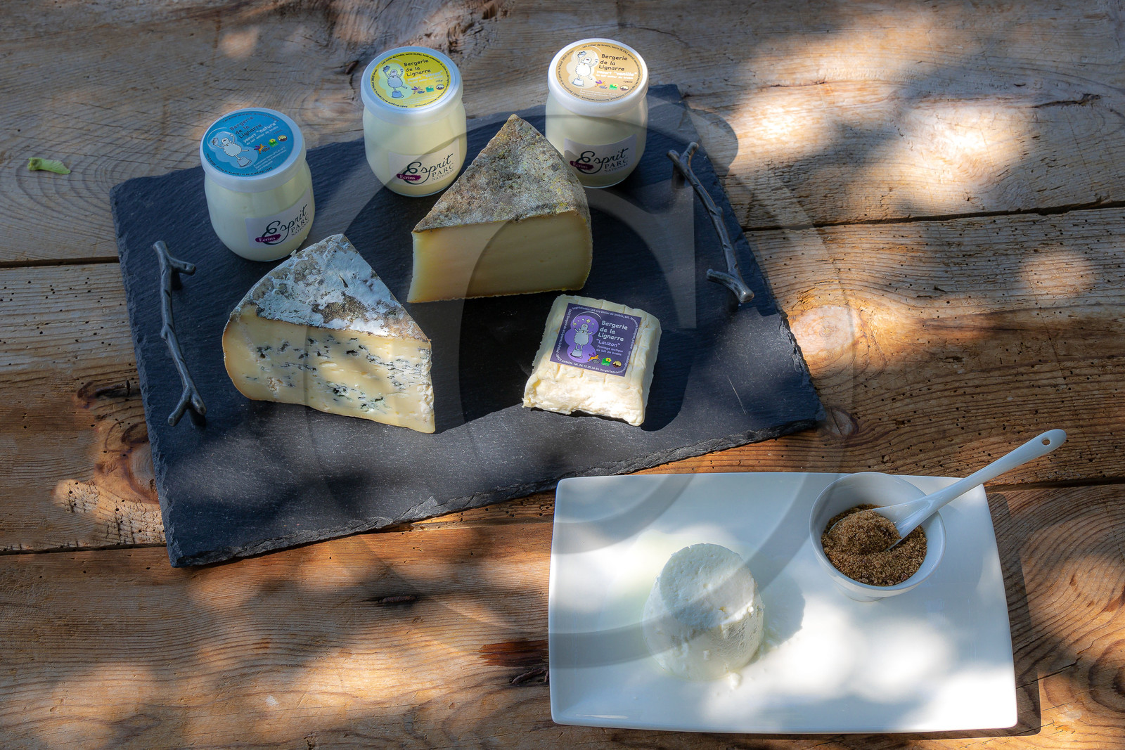 Bergerie de la Lignarre Bergerie de la Lignarre